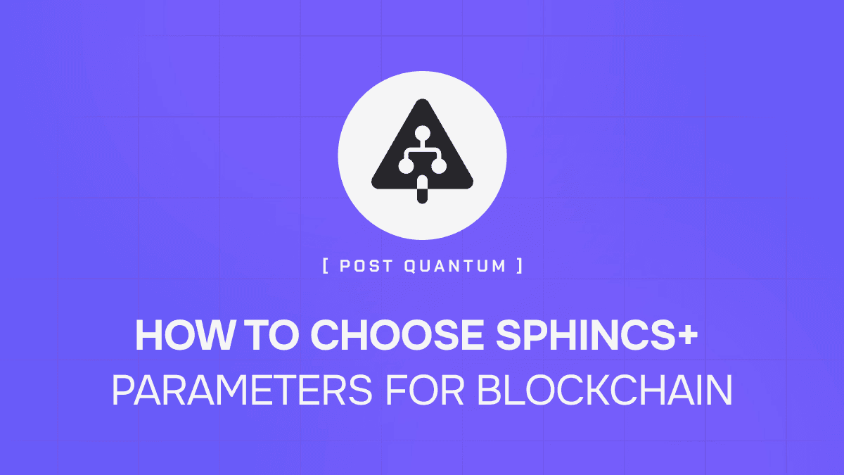 How to choose SPHINCS+ Parameters for blockchain